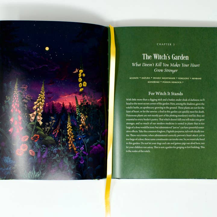 Red Wheel/Weiser LLC - Wholesale Nature & Outdoors - Enchanted Plants: A Treasury of Botanical Folklore and Magic3