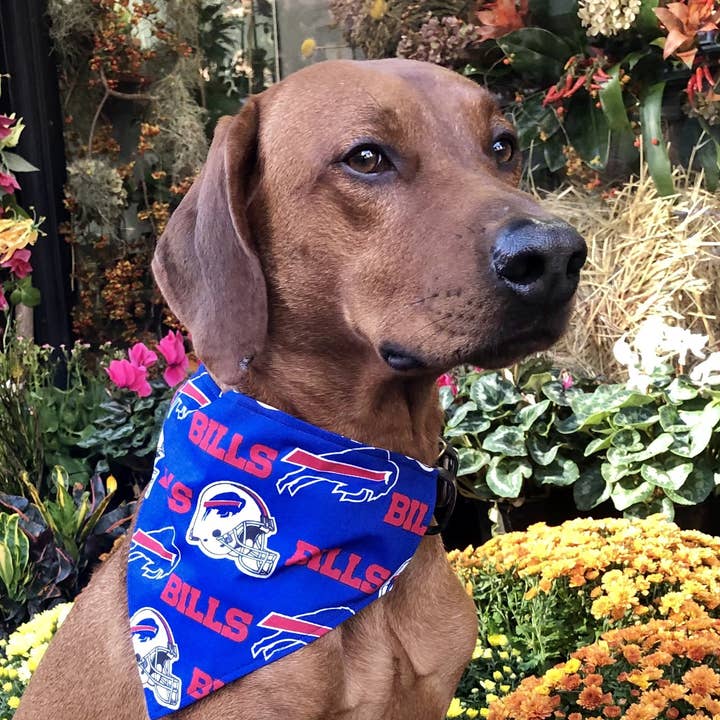 Koa's Ruff Life - Wholesale Pet Bandana - Dog - Buffalo Bills Bandana - Football Collection