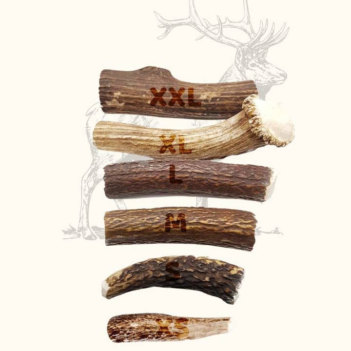 Truffe Délice - Wholesale Pet Chew Toy - Dog - Antler dog2