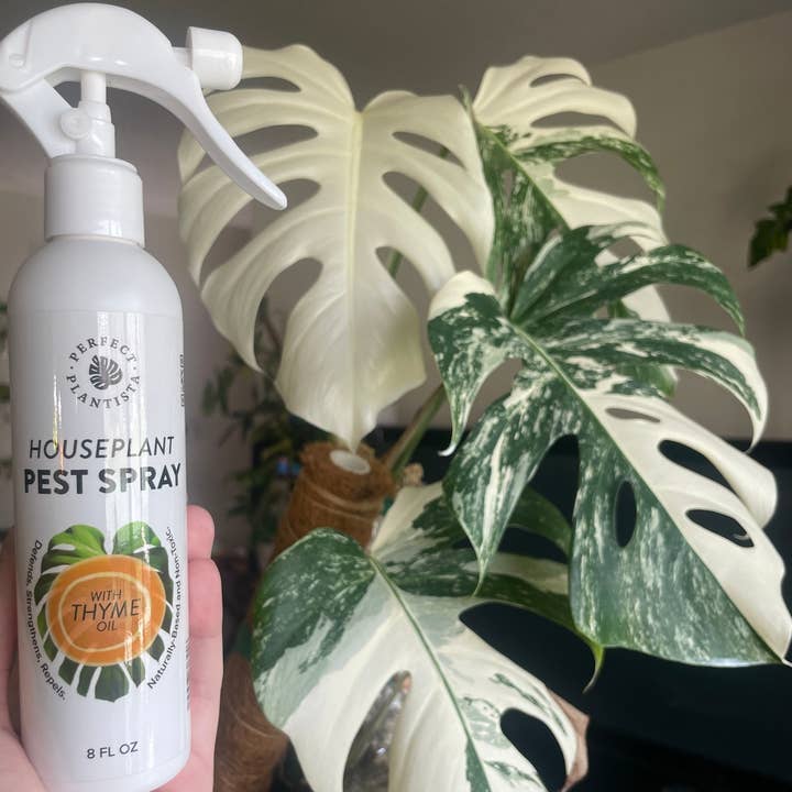 Perfect Plantista - Wholesale Insect Repellent - Natural + Non-Toxic Houseplant Pest Spray2