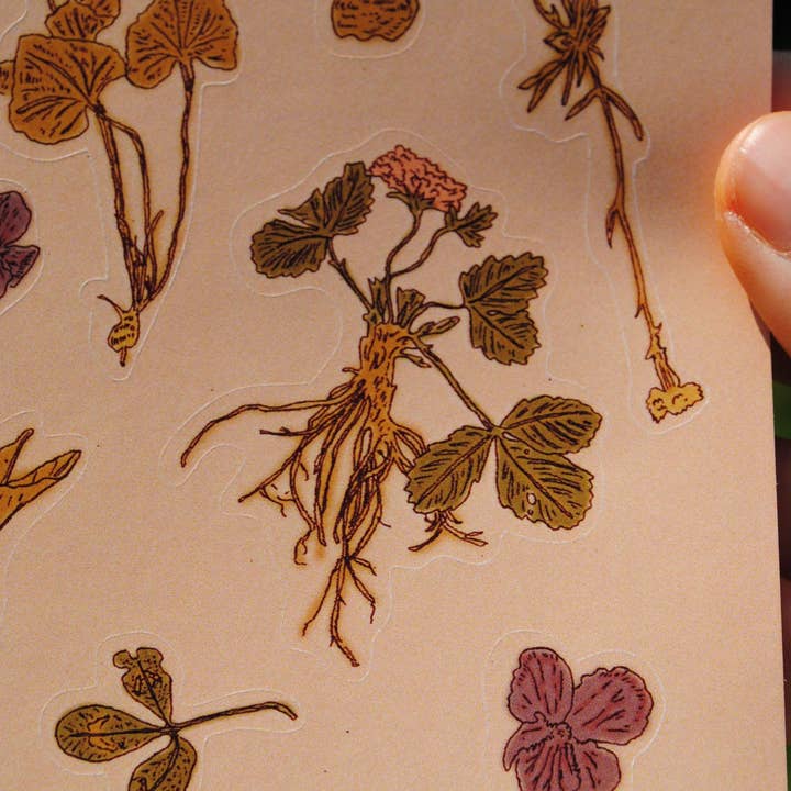 Tulips and Heather – wholesale Sticker – Sticker Sheet "Dried Flowers" for journals and planners2