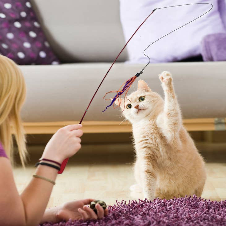 Wholesale Cat Wand to Keep Pets Entertained 