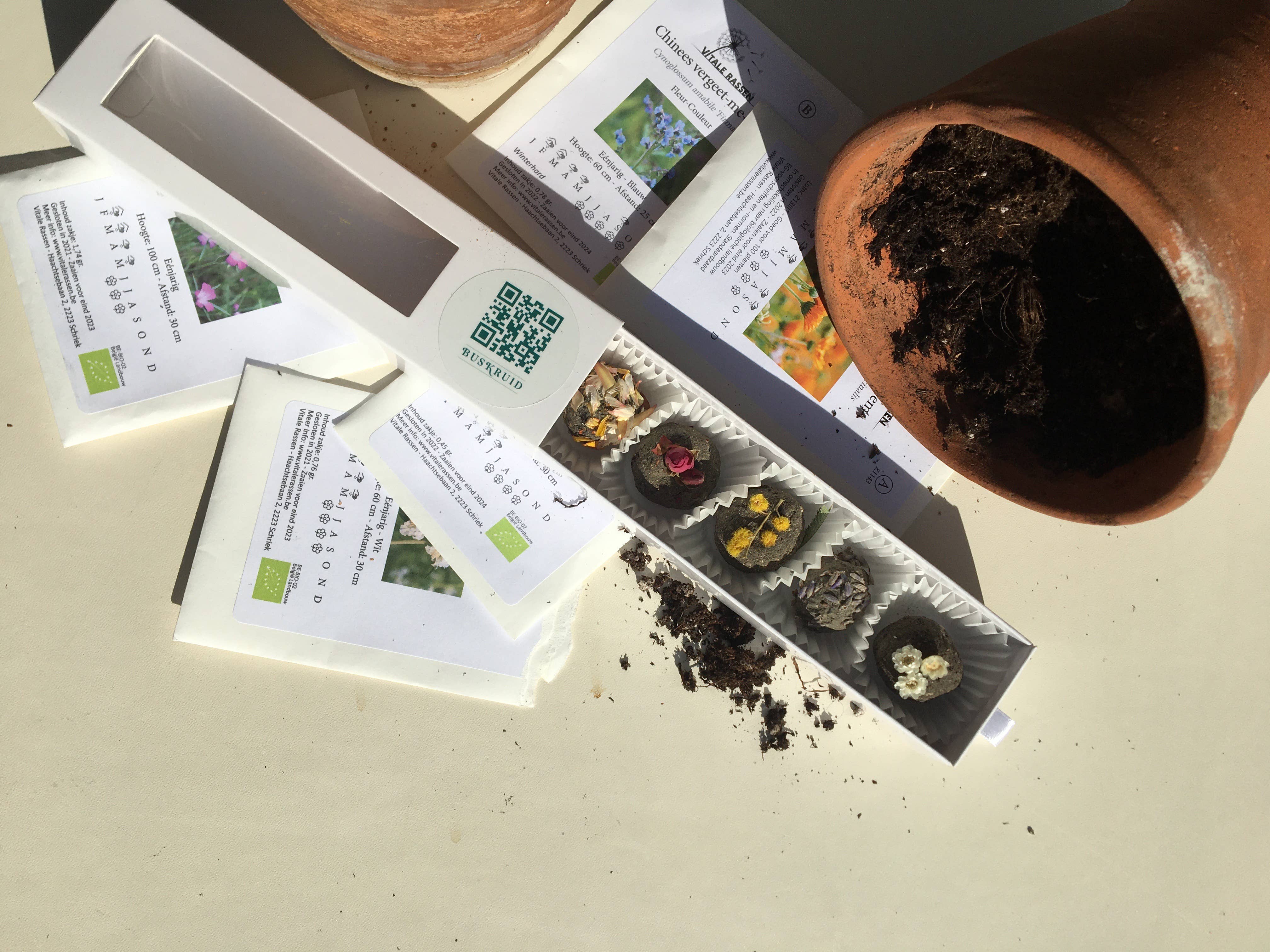 BUSKRUID - Wholesale Plant Seeds - Zaadbombons4