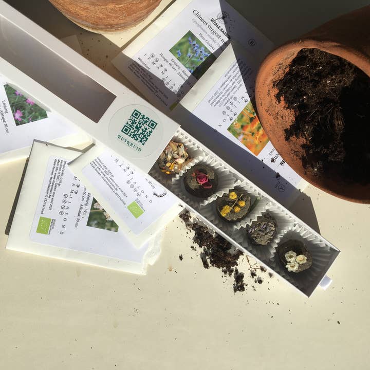 BUSKRUID - Wholesale Plant Seeds - Zaadbombons4