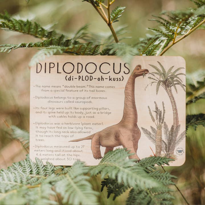 DIPLODOCUS Jumbo Dino Fun Fact Tile for wholesale by Timber Kids