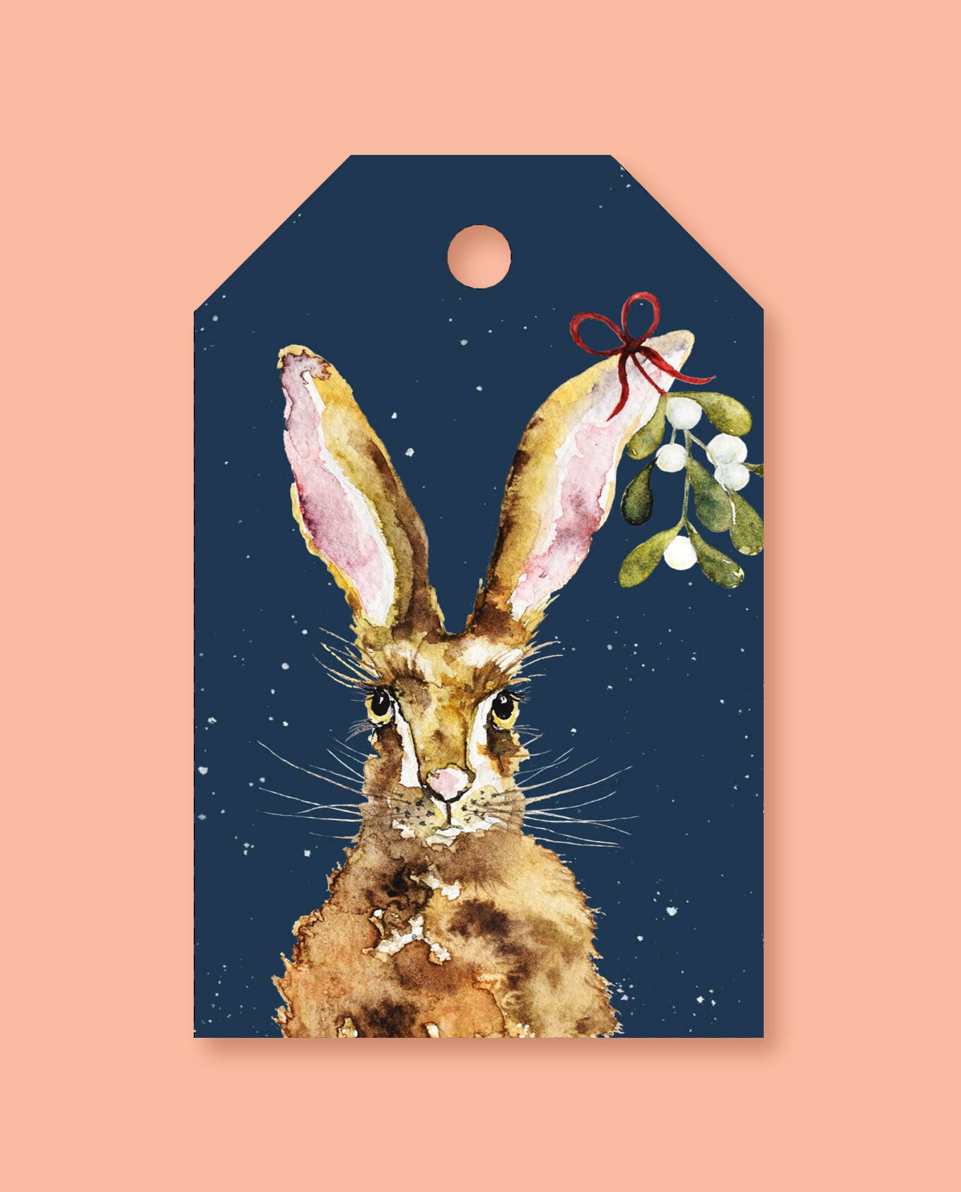 studio frewb - Wholesale Gift Tag - British Wildlife Christmas gift tags (6 tags per pack)6