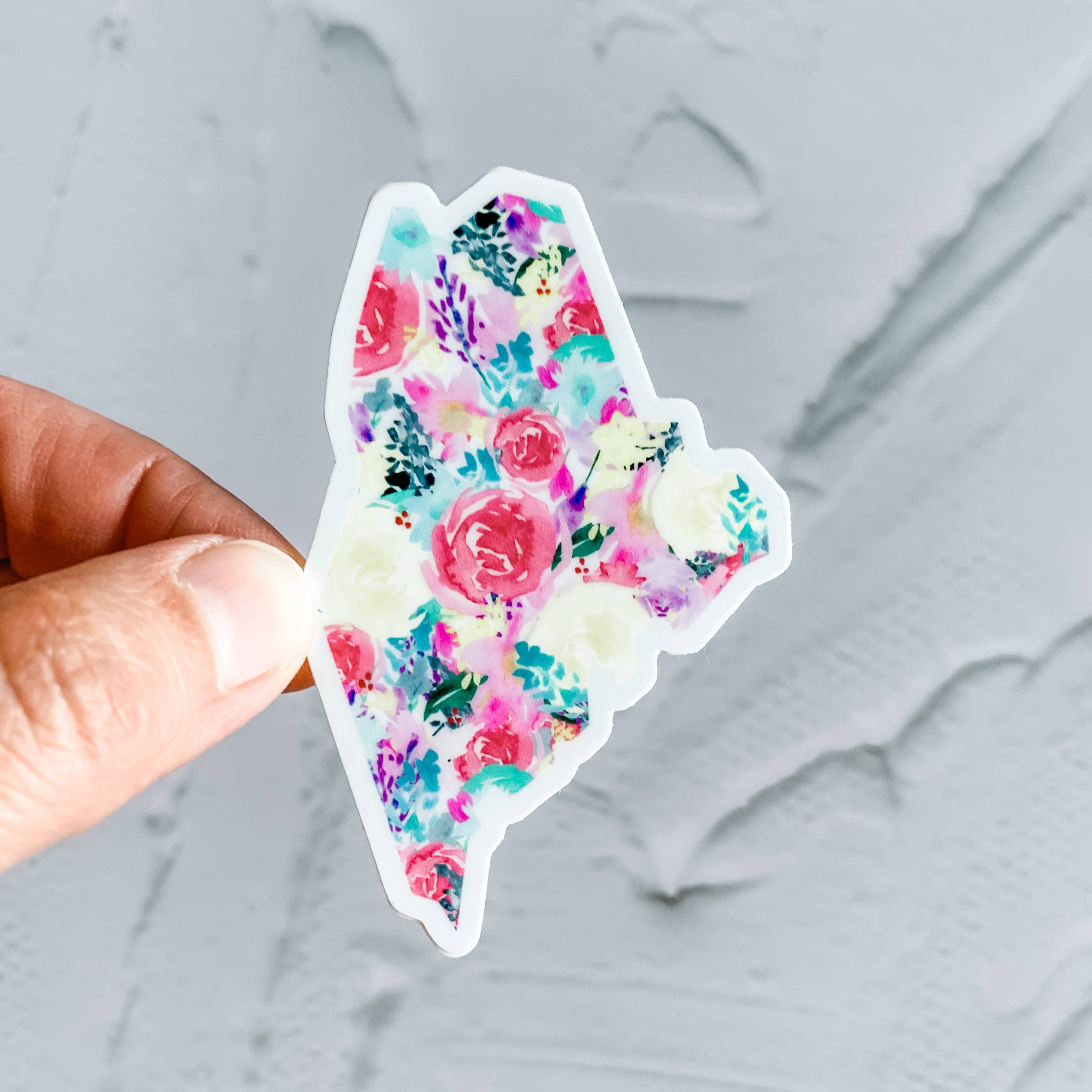 Wildflower Paper Company - Vente Autocollant - Pack de démarrage autocollant État du Maine4