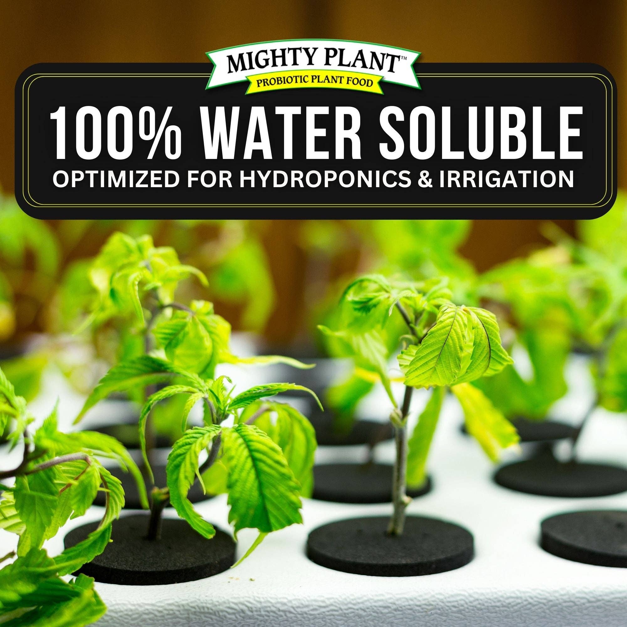 Mighty Plant – wholesale Gödsel – MycoRoots™ Odlingsstorlekar4