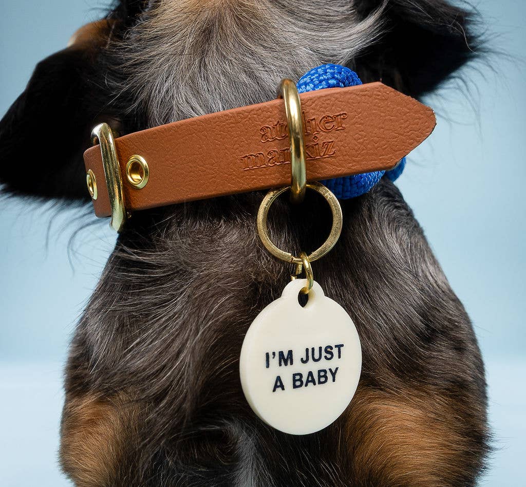 Freshwater Curated Goods – wholesale Halsbandsbricka - Katt och hund – I'm Just A Baby - Djurtagg1