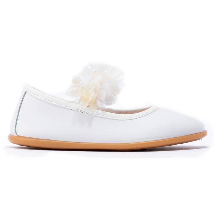 NV5 586 65 for engroshandel hos Break&Walk