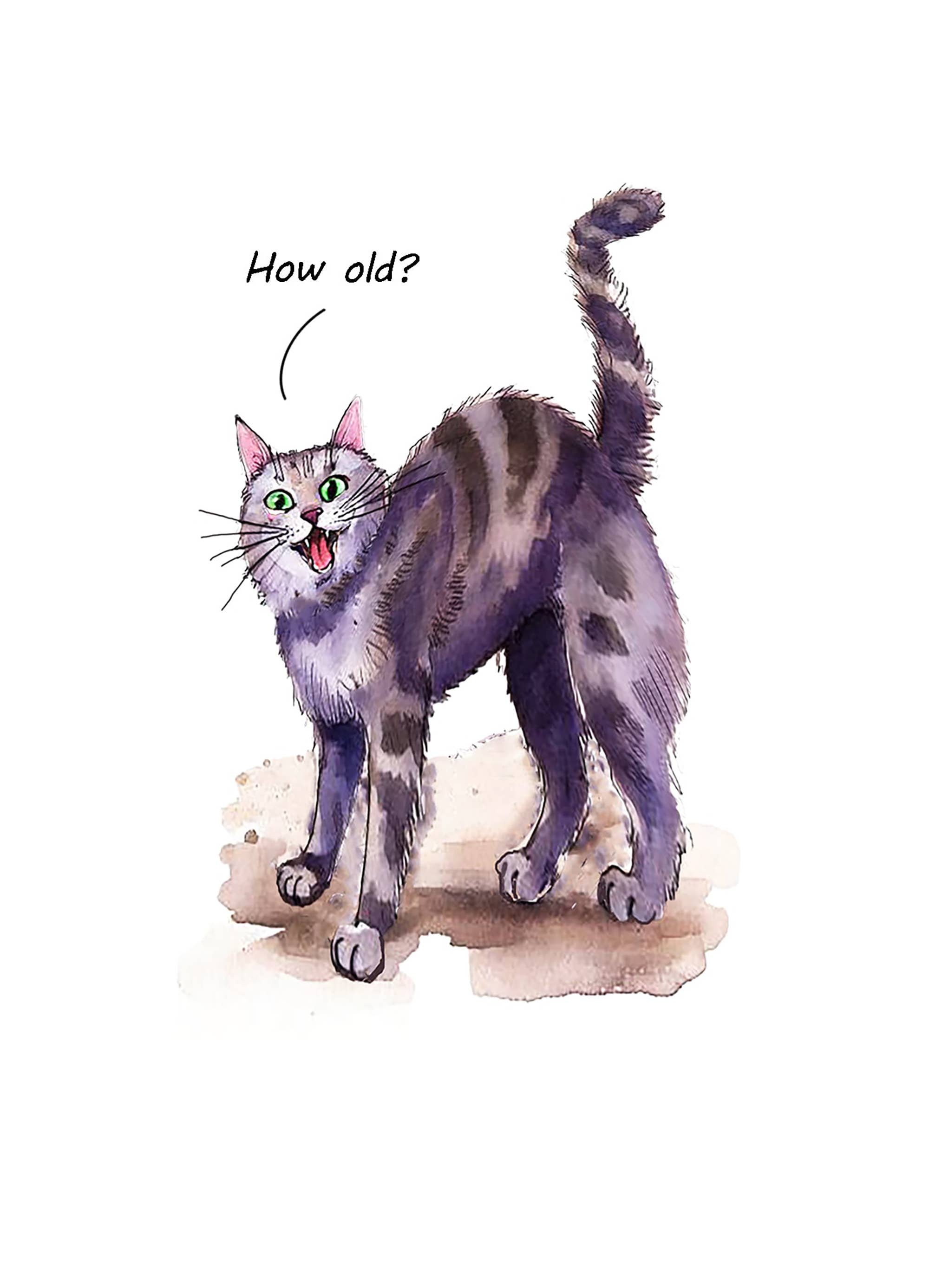 Go La La – wholesale Birthday card – Cat how old birthday card    1