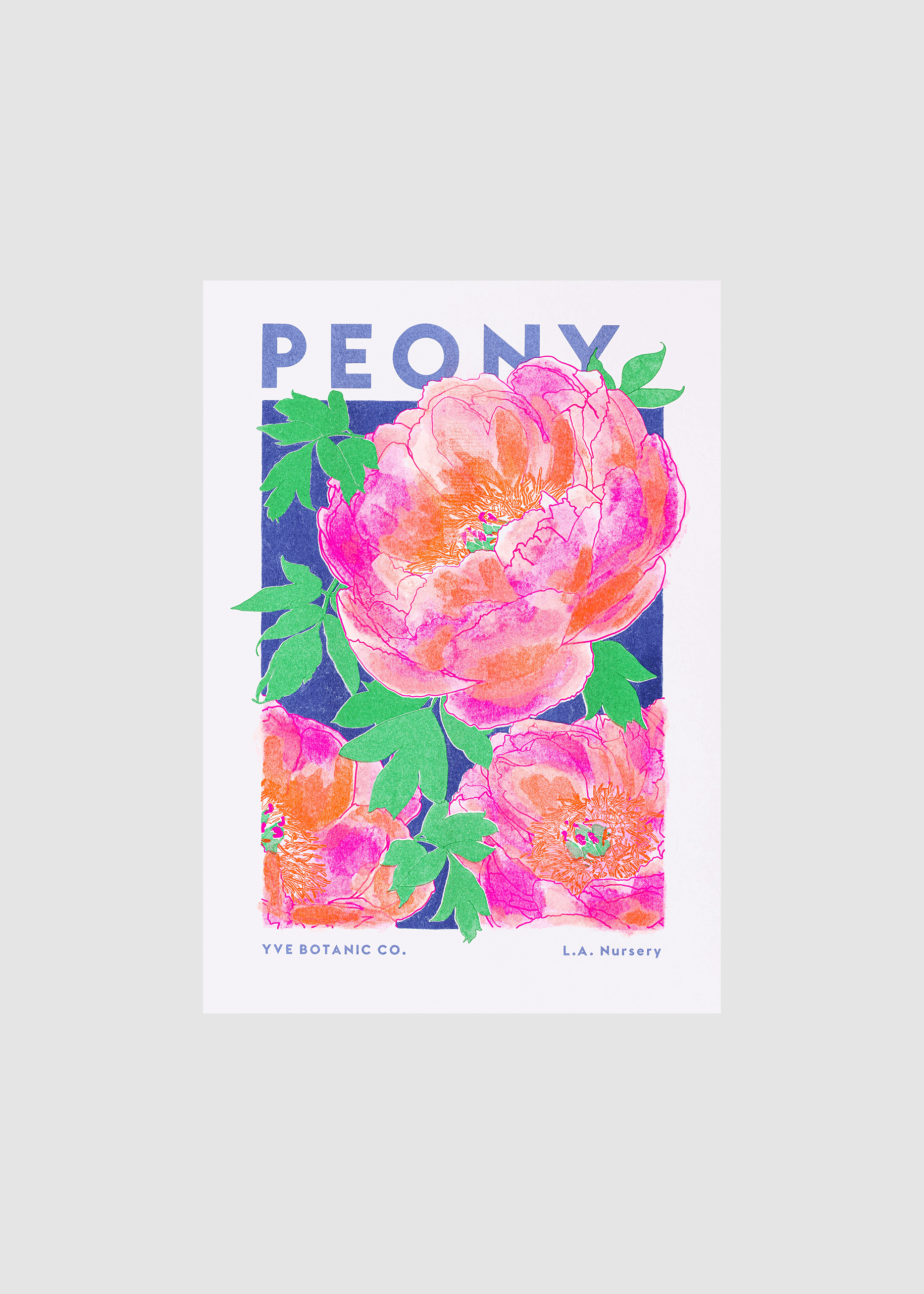 Eve Print Studio. – wholesale Konsttryck – Riso-tryck med pionblomma i fluoro rosa och orange5