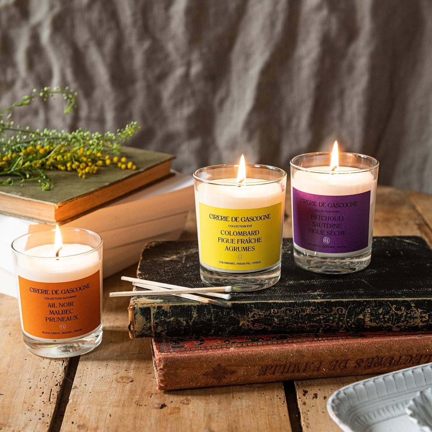 Cirerie de Gascogne (US/CAN)-Distributed by Scents of Europe - Wholesale Jar/Filled Candle - *BUY1GET1* Patchouli, Sauternes, Dry Fig Blend Candle5