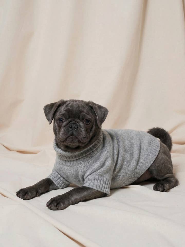 DOG CASHMERE SWEATER GREY for wholesale by bobbin & tricot