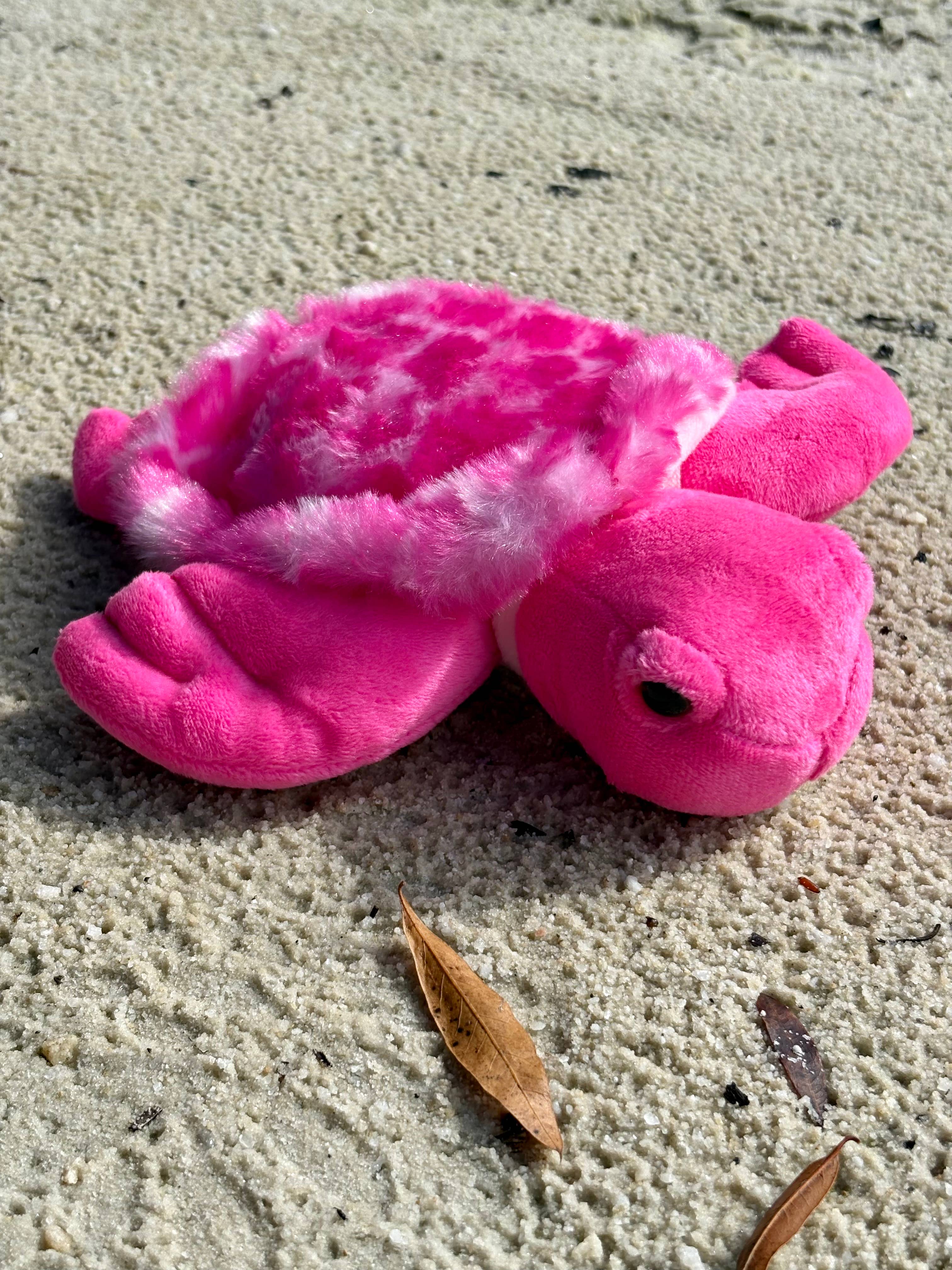 The Petting Zoo - Wholesale Stuffed/Plush Toy - Kids & Baby - Scoopz Pink Sea Turtle Small 8" (20cm)1