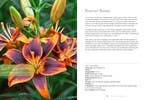 Gibbs Smith - Wholesale Home & Garden - Lilies: Beautiful Varieties for Home & Garden3