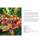 Gibbs Smith - Wholesale Home & Garden - Lilies: Beautiful Varieties for Home & Garden3
