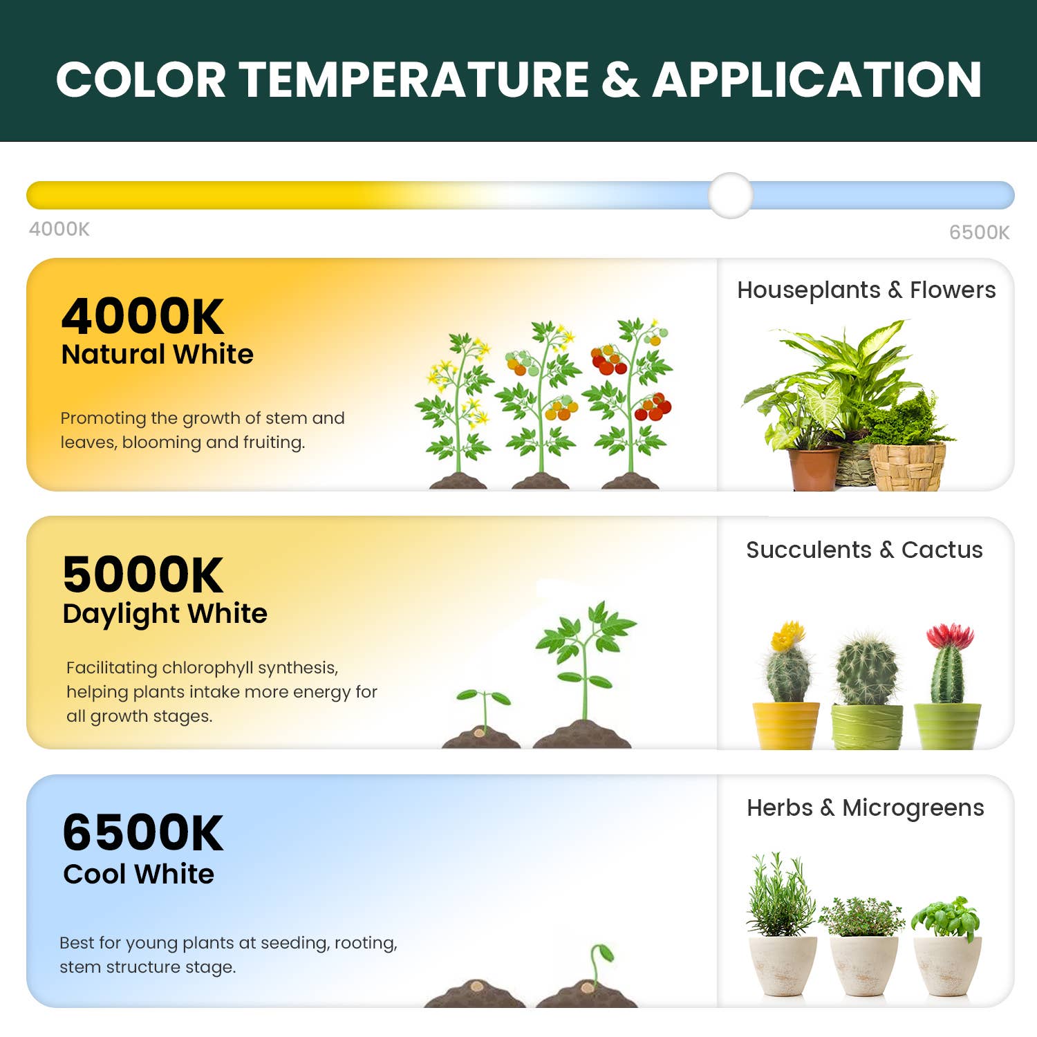 MY CITY GARDEN - Venta al por mayor Herramientas de jardín - FLEX GROW, luz LED de cultivo que se puede doblar 360°, 5000 K, juego de 3 piezas6