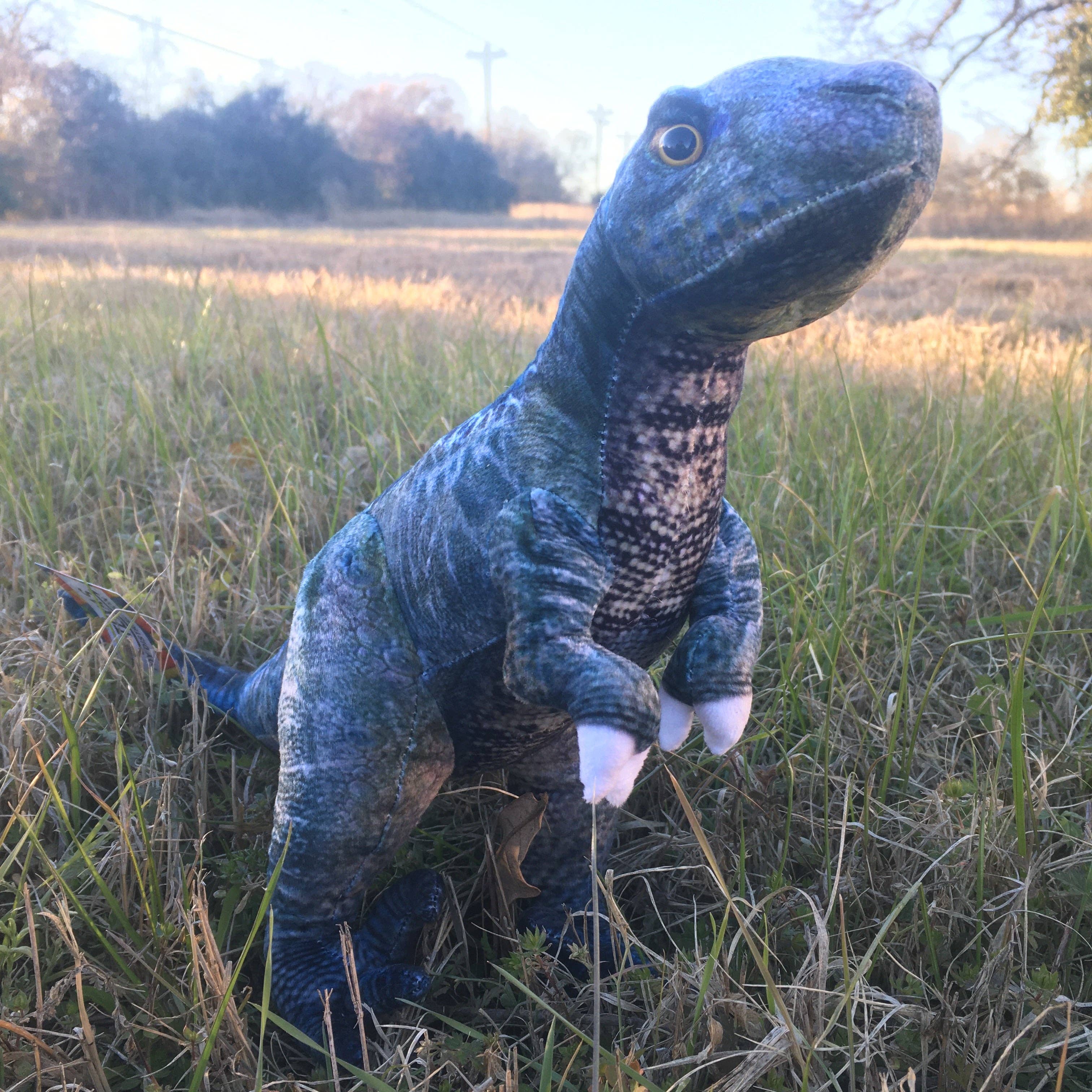 Texas Toy Distribution – wholesale Stuffed/plush toy – Kids & baby – Velociraptor 19.5" Plush Dinosaur Stuffed Animal5