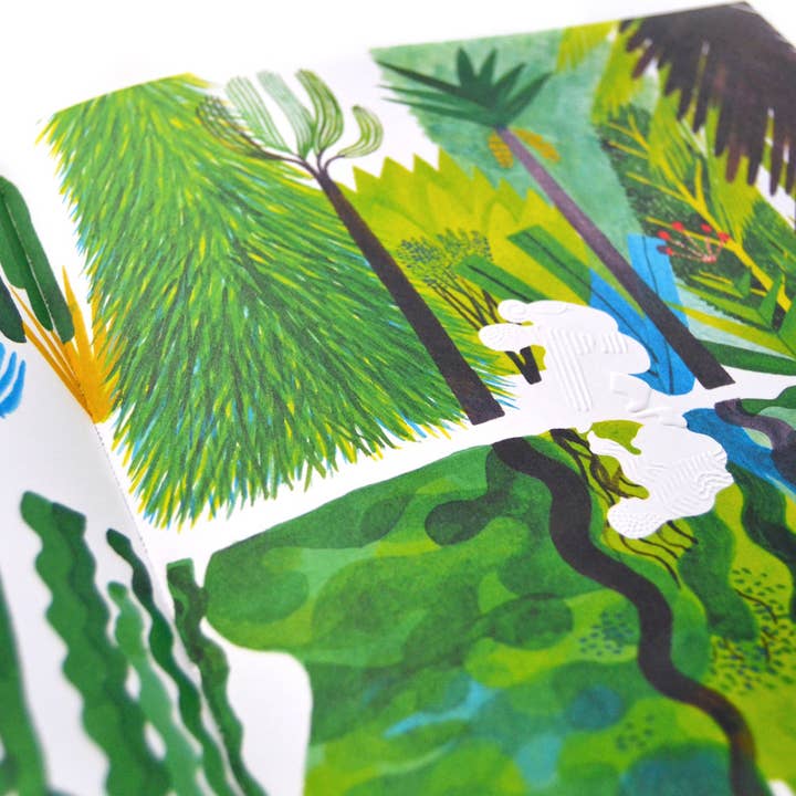 Enchanted Lion Books - Wholesale Preschool Book (3-5) - The Forest5