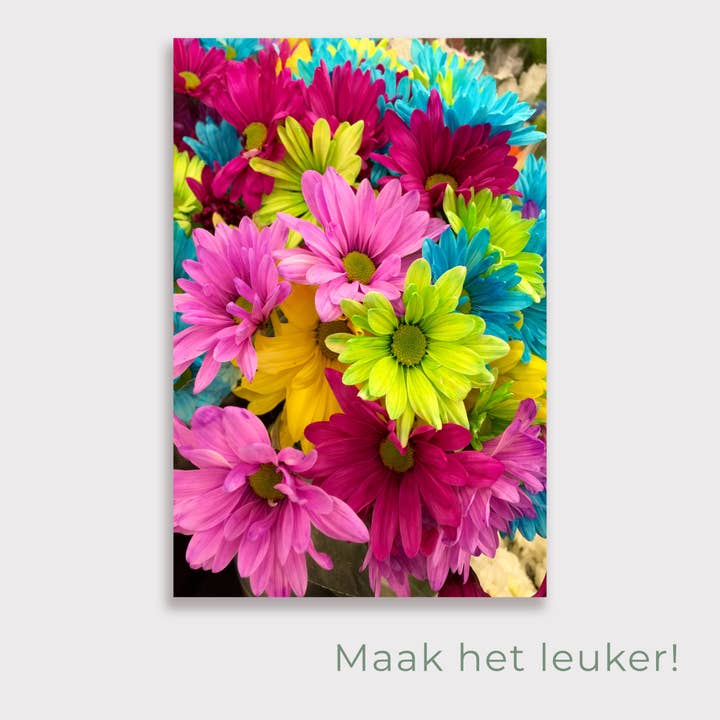 Tuinposter - Gerbera per la vendita all'ingrosso da parte di Kids-ware Lifestyle