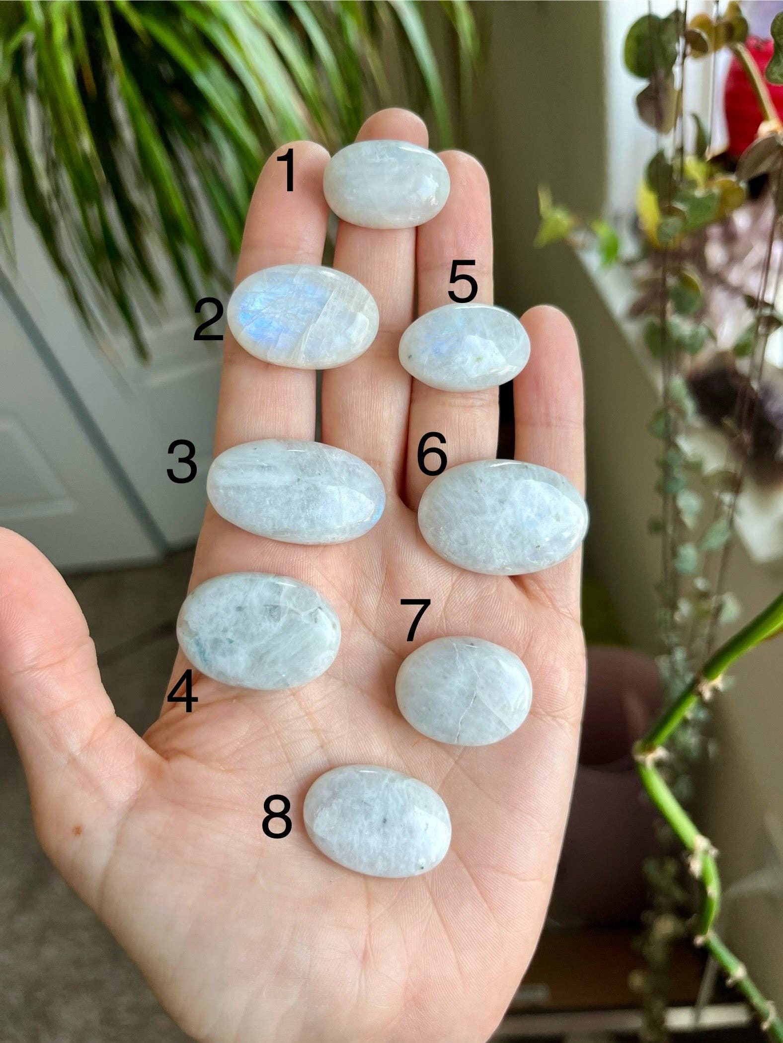 Laura Mar Jewelry - Wholesale Pendant/Charm Necklace - moonstone layering necklace in curb or paperclip sterling silver chain3