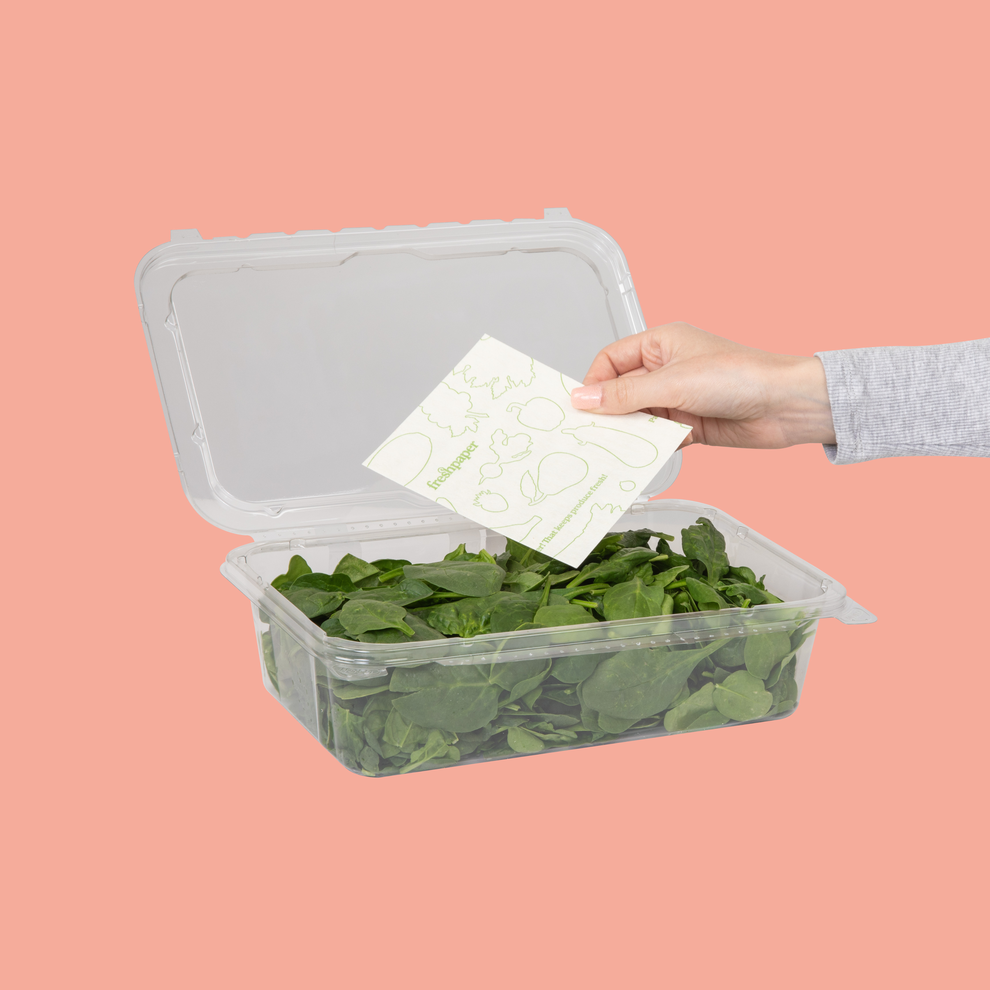 The Freshglow Co. – wholesale Food storage wrap/bag – FRESHPAPER Food-Saver Sheets for Produce Standard Size6