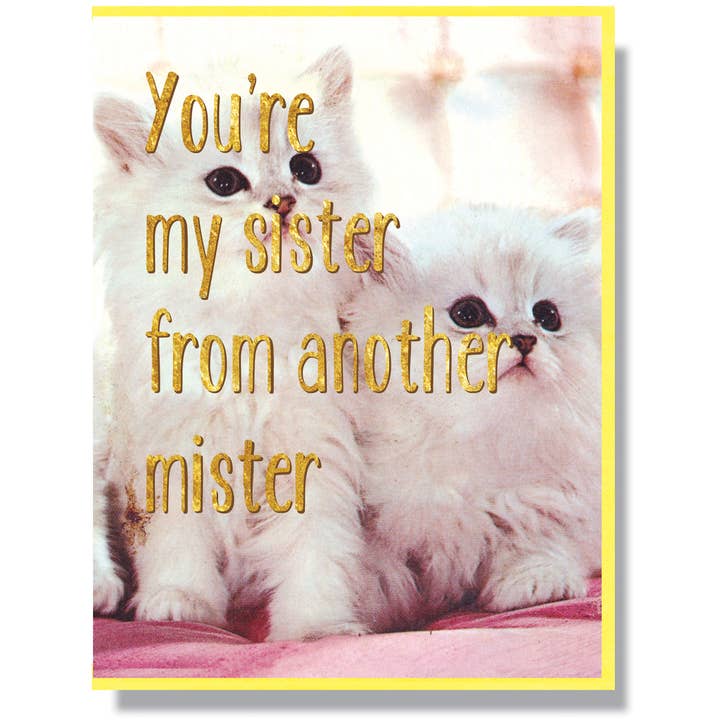 Smitten Kitten - Wholesale Friendship Card - Sister From Another Mister Card