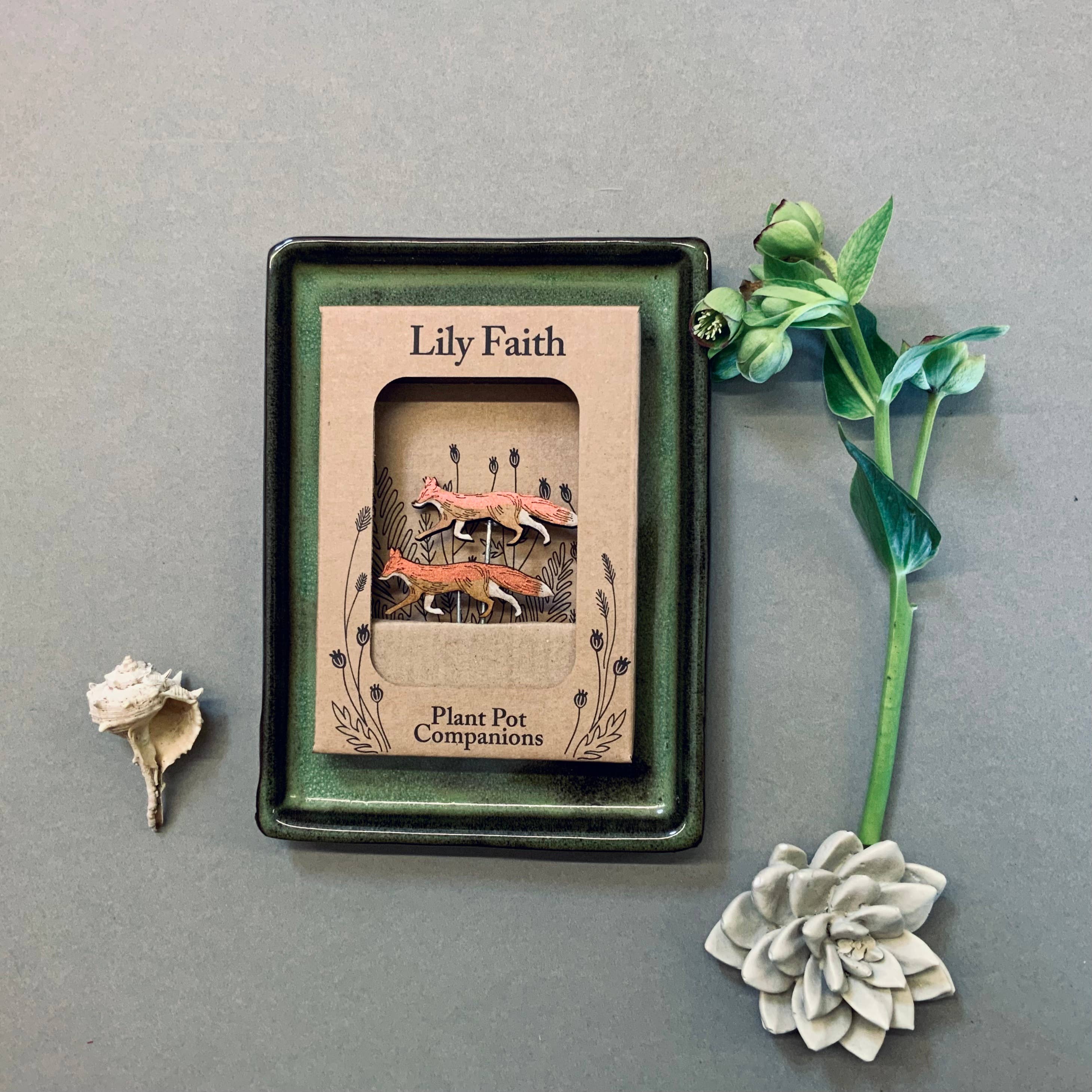 Lily Faith – wholesale Gräspiggar – Rävrävar till blomkrukor1