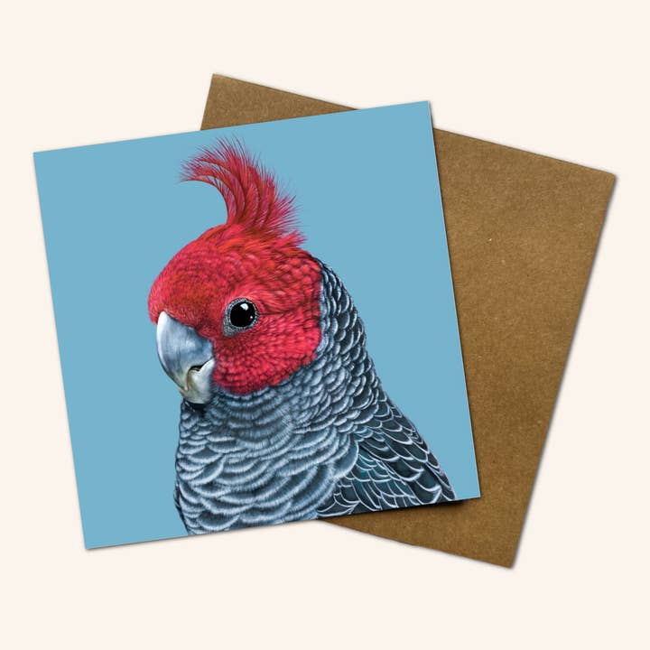 New design - Frankie the Gang Gang Cockatoo Greeting Card for wholesale by Jess Hutchison Art