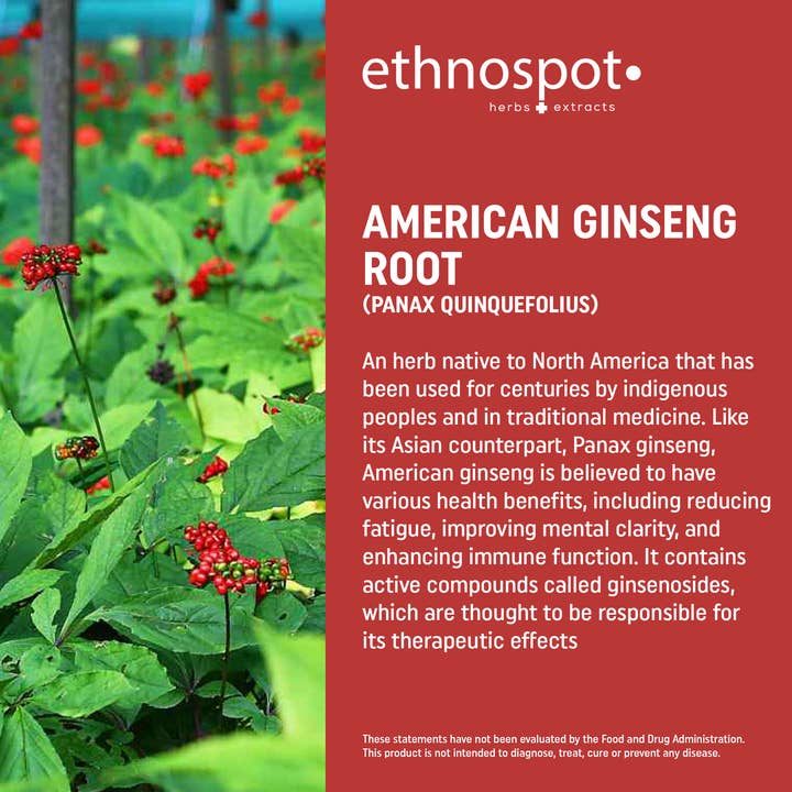 Ethnospot.com LLC - Wholesale Oral Supplement/Vitamin - American Ginseng Herbal Supplement Capsules - 125 Capsules3