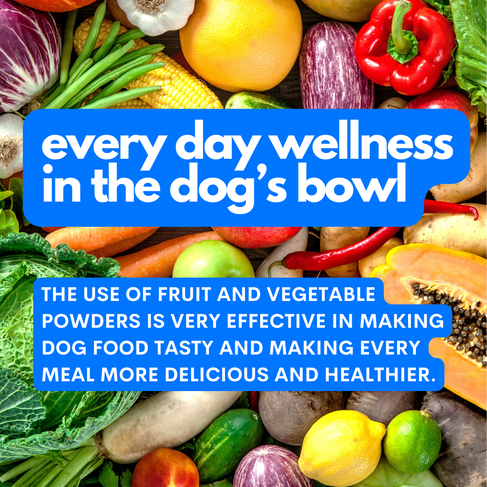 JAMPY – wholesale Pet supplement – Cat/dog – Superfood Green Mix - 100% Natural Vitamin Powder for Dogs1