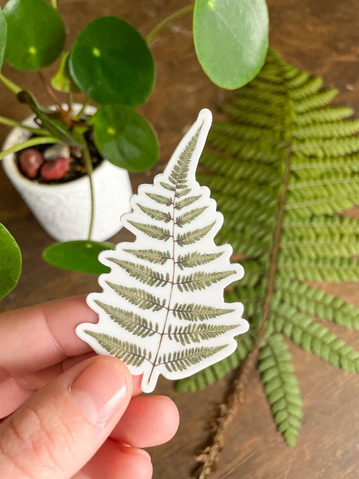 Autocollant en forme de fougère, durable et résistant aux intempéries pour la vente par Home Roots Design