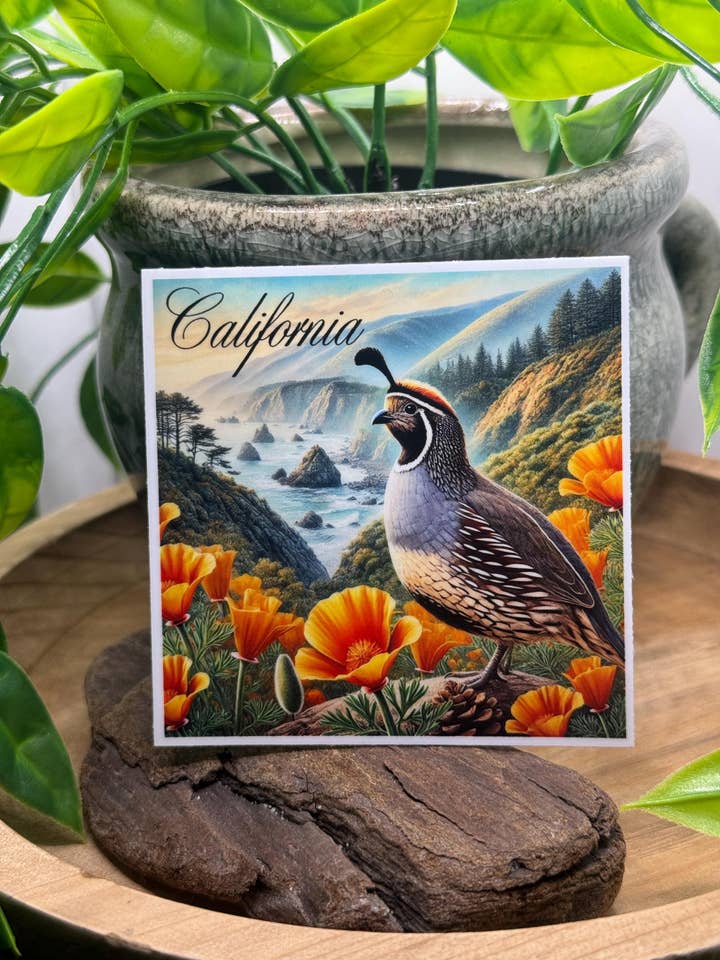 Californisk Vagtel & Stillehavskystens Valmuer Vinylmærkat for engroshandel hos California Dreaming Co