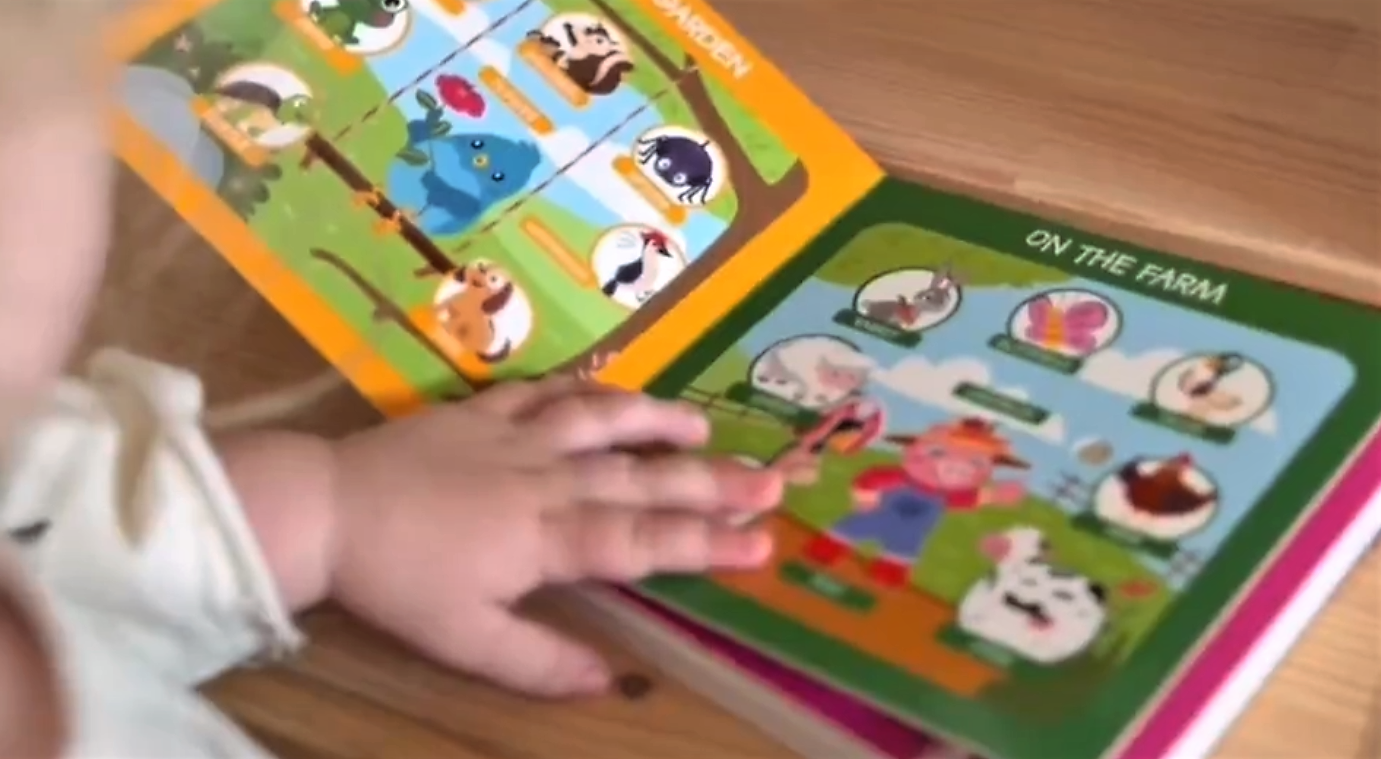 Ditty Bird Europe - Wholesale Baby & Toddler Book (0-2) - Ditty Bird Baby Educational book Best toy: First 100 Words9