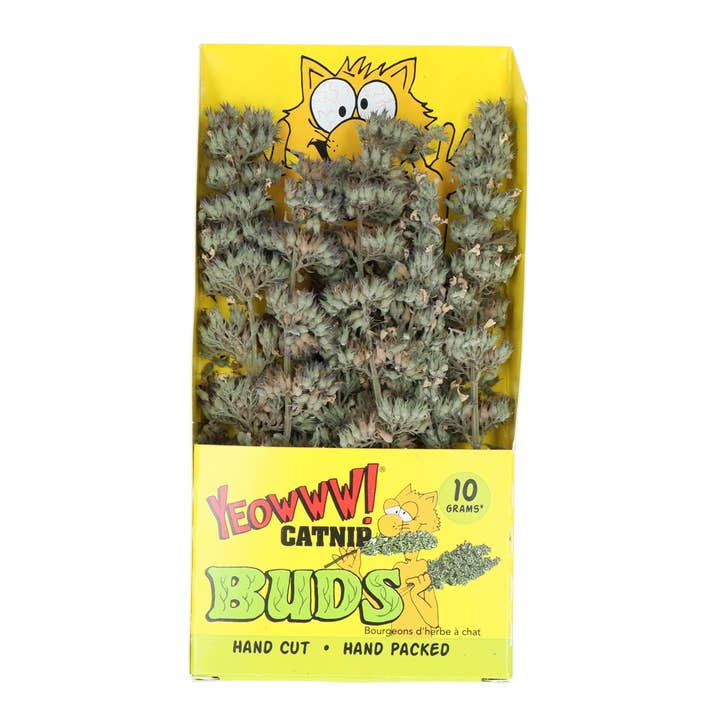 Yeowww! Kattemynte Kviste for engroshandel hos Hofman Animal Care