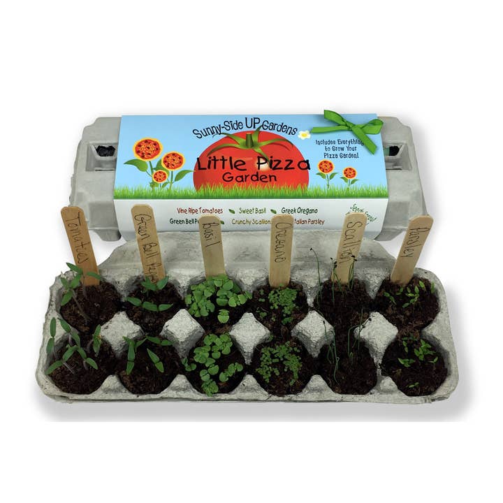Backyard Safari Company - Wholesale Plant Seeds - Little Pizza Garden Grow Kit2