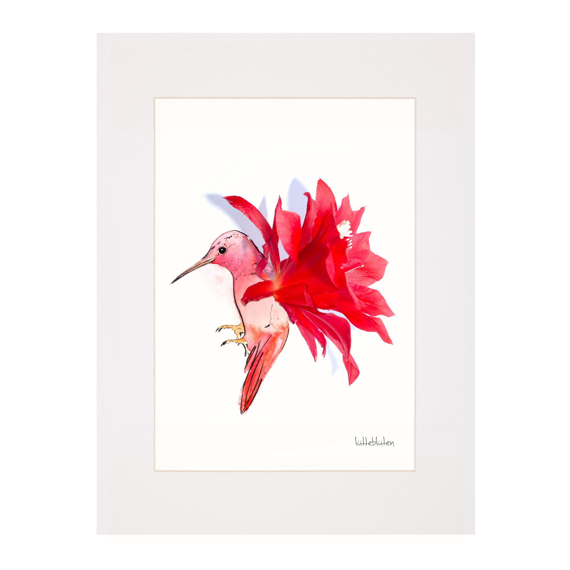 Lütteblüten - Wholesale Art Print - Cactus Hummingbird - Art Print A3 and A41