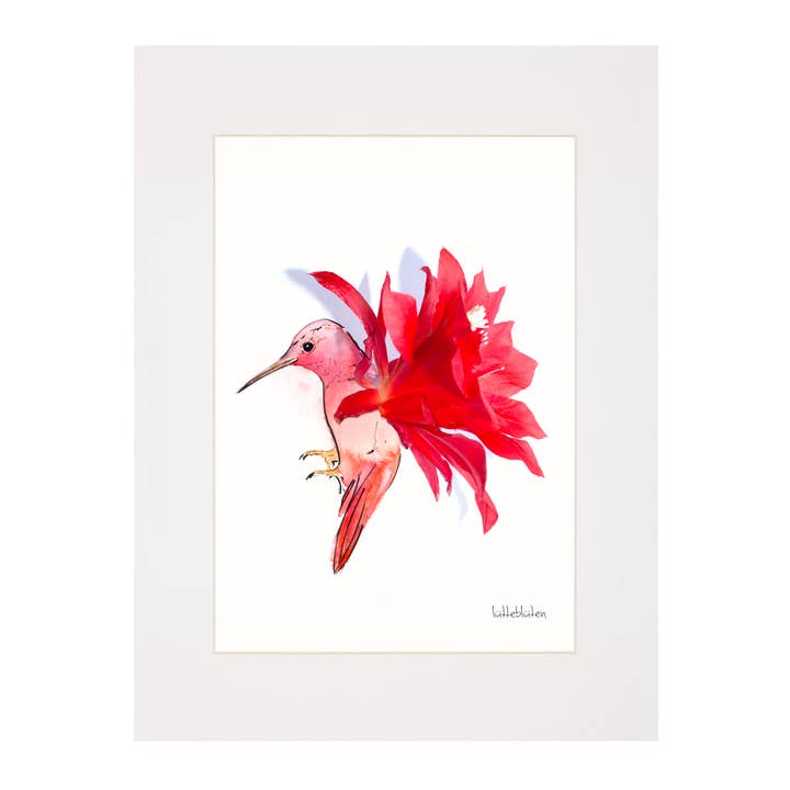 Lütteblüten - Wholesale Art Print - Cactus Hummingbird - Art Print A3 and A41