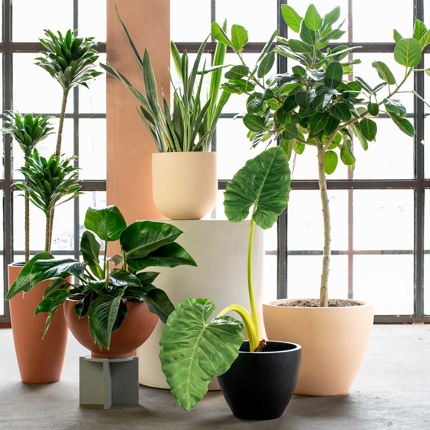 Greenery Unlimited - Wholesale Plant Pot - Newel 30 Large Planter7