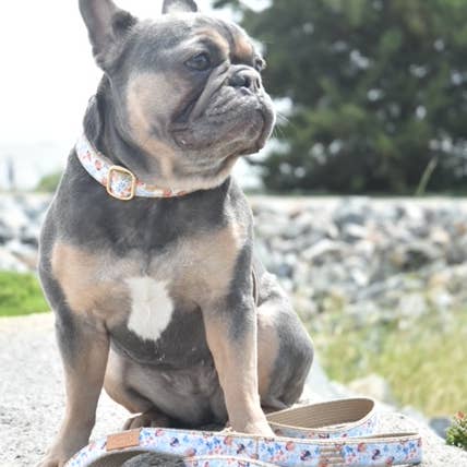 Finnegan’s Standard Goods - Wholesale Pet Collar - Dog - 1 inch Ladybug Collar3