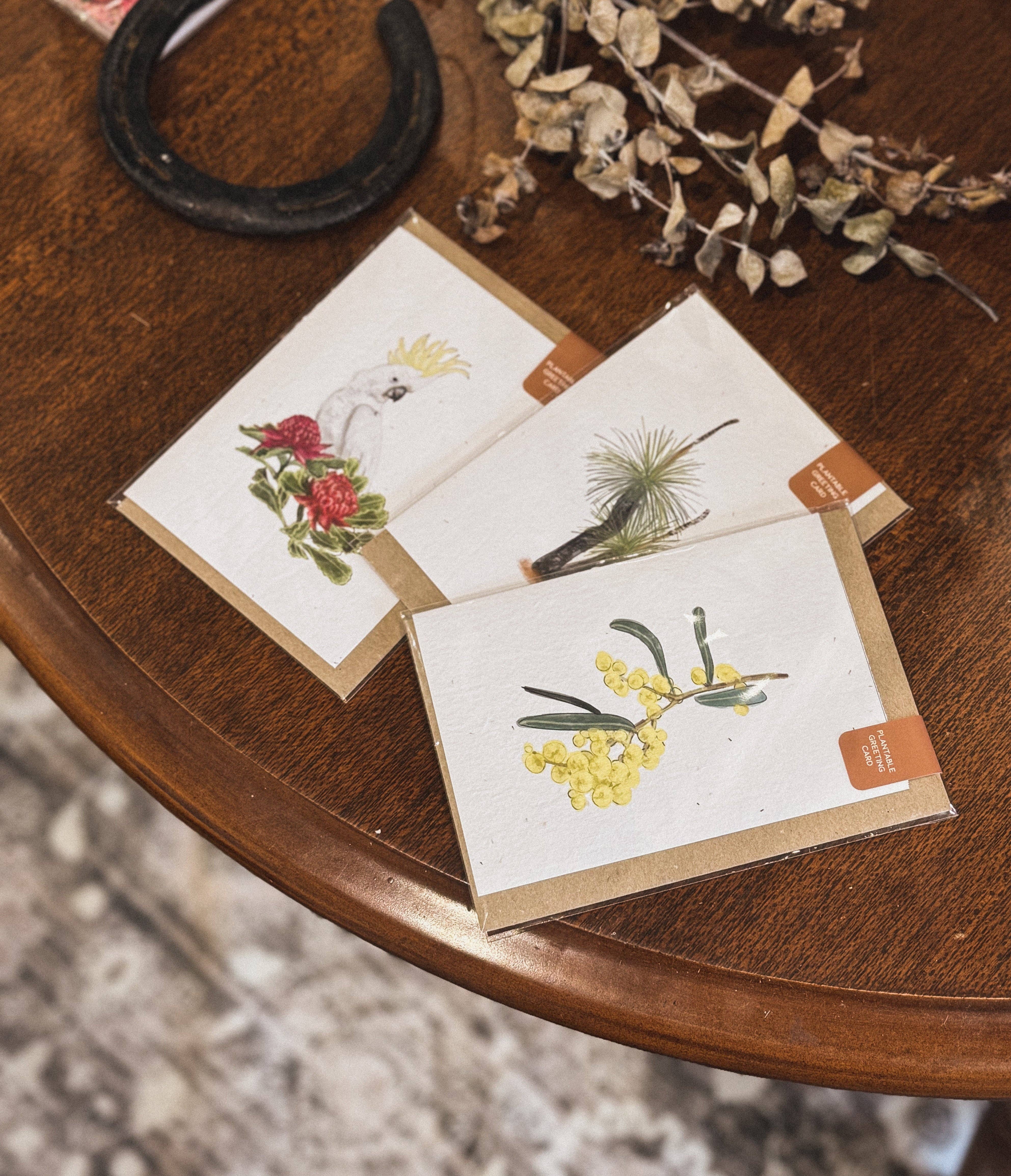 treasureinventory - Vendita all'ingrosso Biglietti di auguri generici - Icone australiane // Carte piantabili // Confezione da 27 carte5