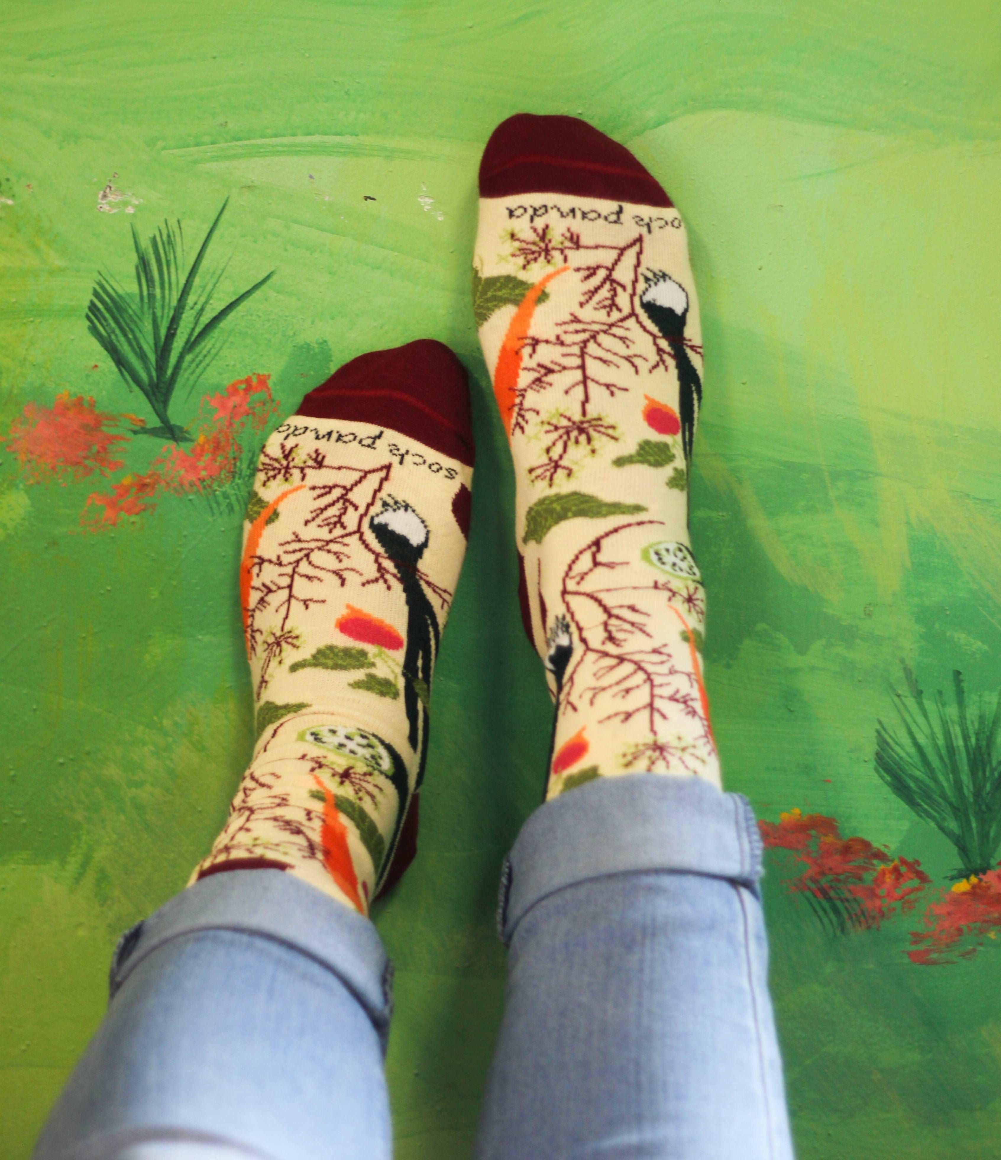 Sock Panda - Wholesale Socks - Women's - Fall Vegetable and Fruit Socks (Adult Medium) - Sock Panda4