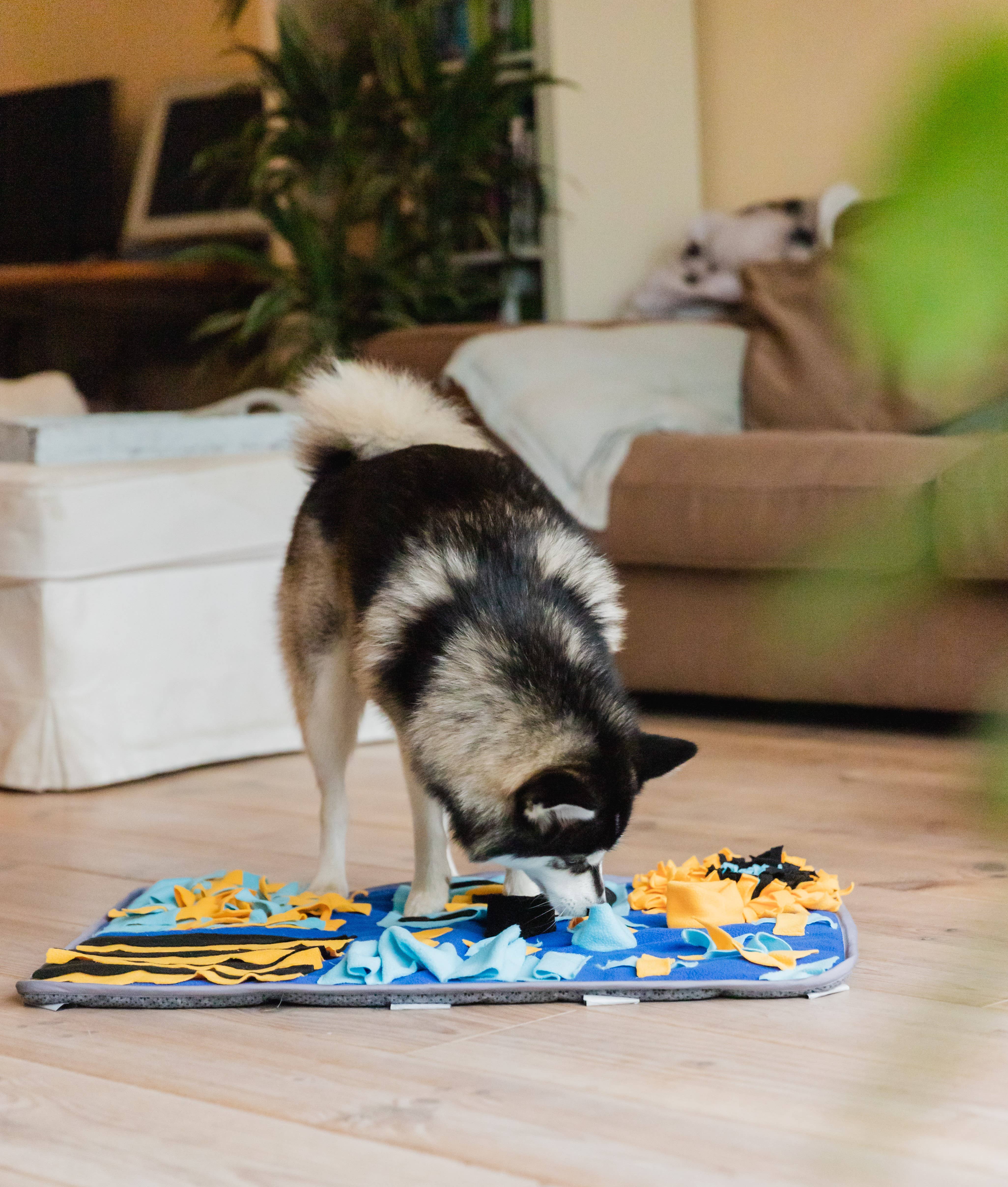 Snuffies - Wholesale Pet Mat - Dog - Bowie4