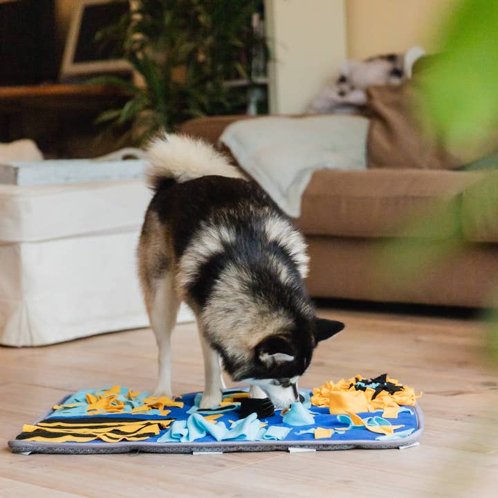 Snuffies - Wholesale Pet Mat - Dog - Bowie4