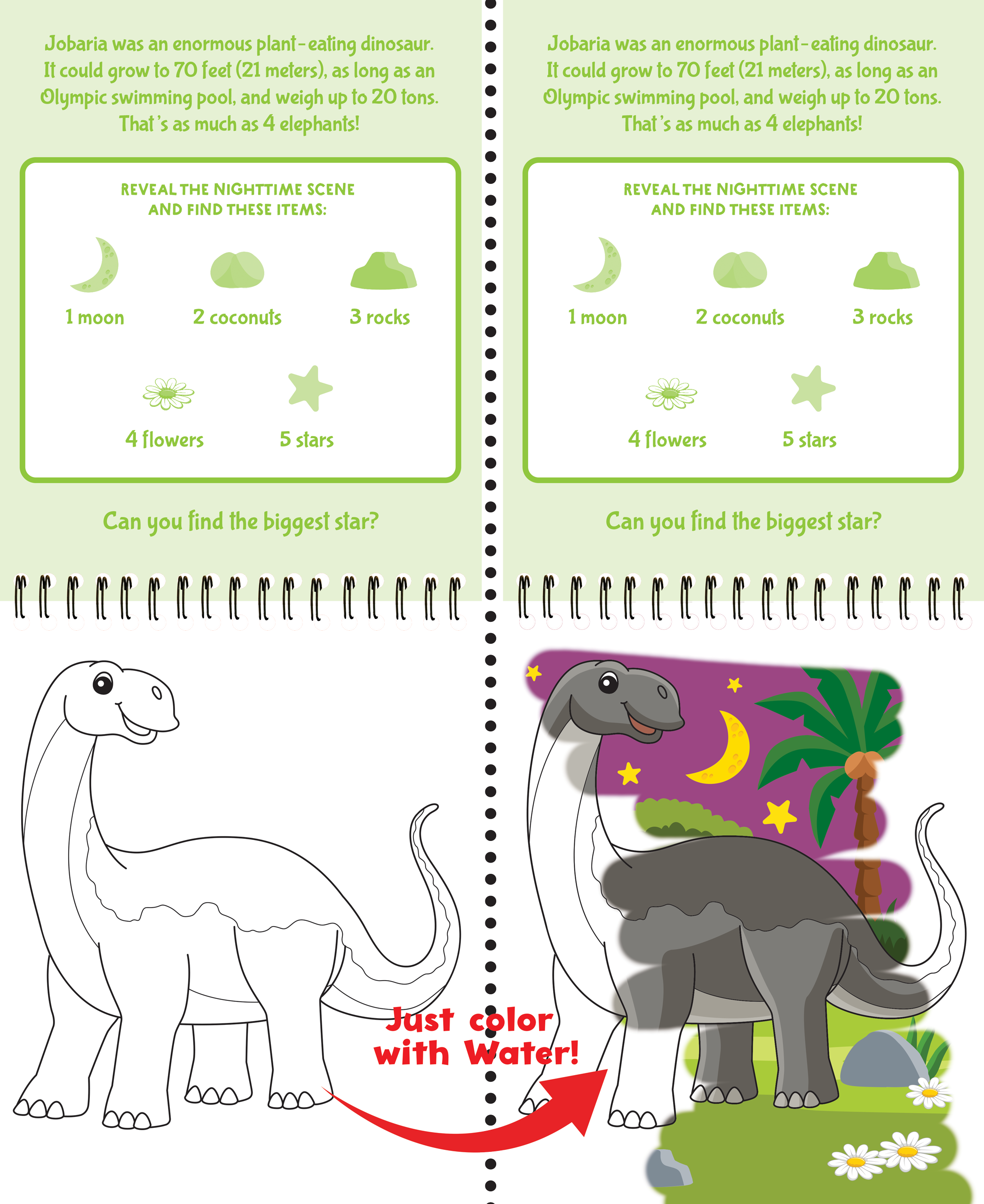 Peter Pauper Press - Wholesale Book - Kids - Color With Water - Dinosaurs3