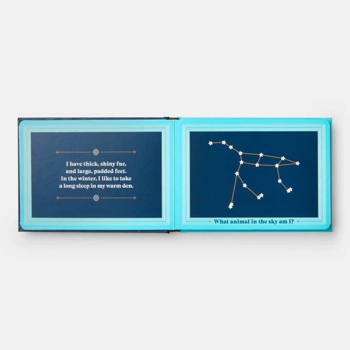 Phaidon - Wholesale Book - Kids - Animals In The Sky