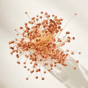 .AVPV. Studio – Engroshandel Tørrede/pressede blomster – Tørret Pinky Button2