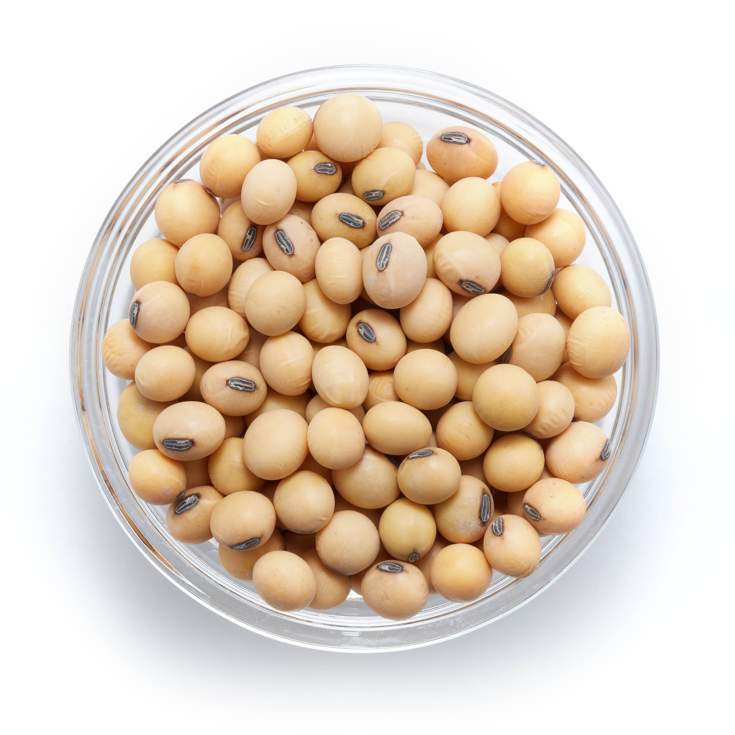 Tootsi Impex - Wholesale Beans - Organic Raw Soya Beans, 55.12 lbs0