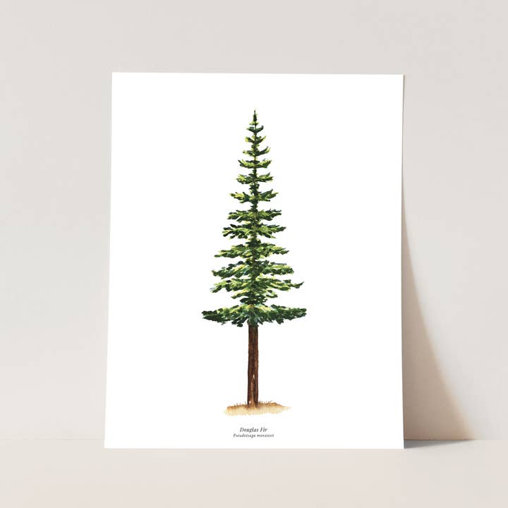 Tree Art Print | Watercolor Douglas Fir Nature Wall Art for wholesale by Watercolor Wednesday